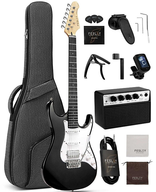 Электрогитара Fesley FST100 (комплект) Харьков - изображение 8
