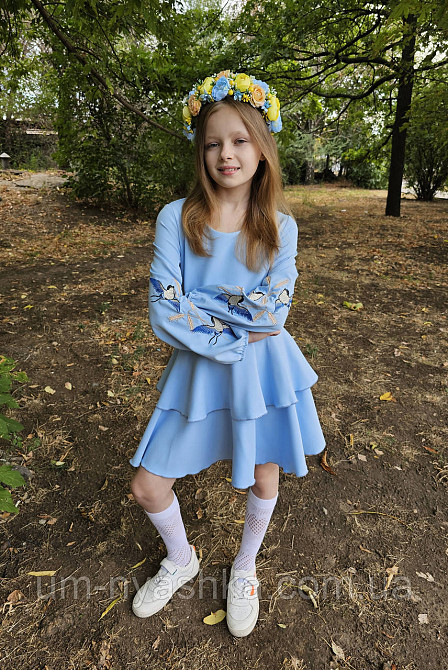 Дитяче плаття з вишивкою на рукавах Поділля-ластівки Кривий Ріг - фото 4