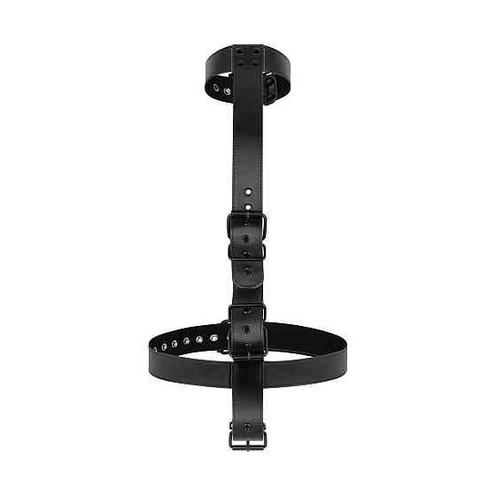Фіксатор для рук та шиї Bedroom Fantasies: Seductive Straps Body Restraint Set Sex Aura Київ