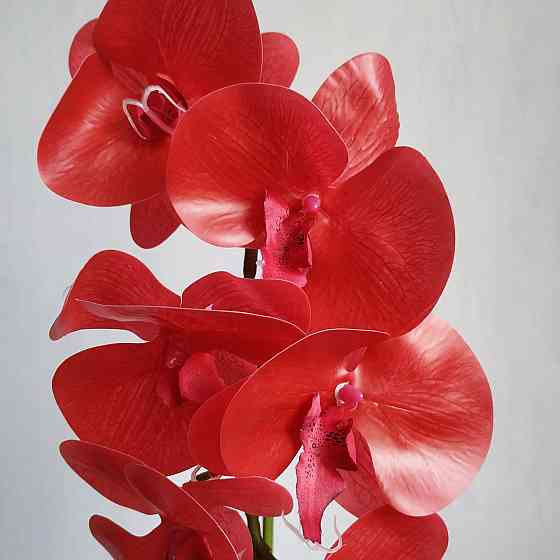 Штучна латексна орхідея VIP у червоному керамічному кашпо на одну гілку червона Дніпро