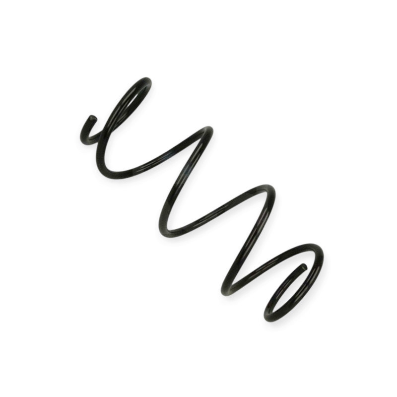 Пружина Renault Clio III 1.2i (05-10) передняя Мукачево - изображение 1