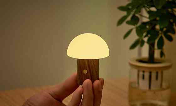 Светильник на аккумуляторе Gingko Alice Mushroom Lamp Mini, орех | G022WT2 Винница