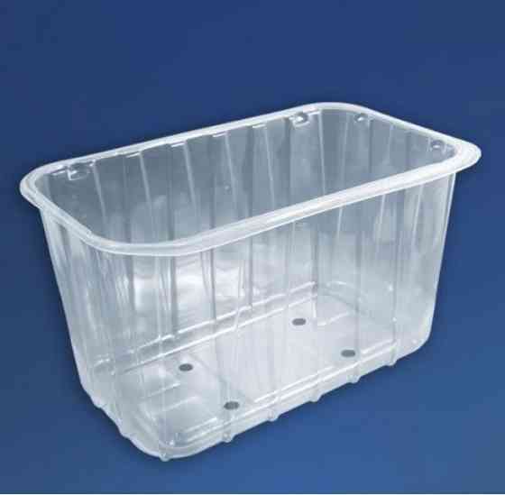 Лоток 1 кг, блистер одноразовый для ягод Флексопринт Павлоград