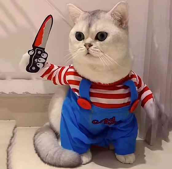 Костюм для собак і котів Чакі S на Хелловін різнокольоровий Київ