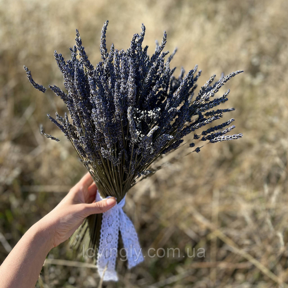 Букет лаванды в подарок Ирпень - изображение 3