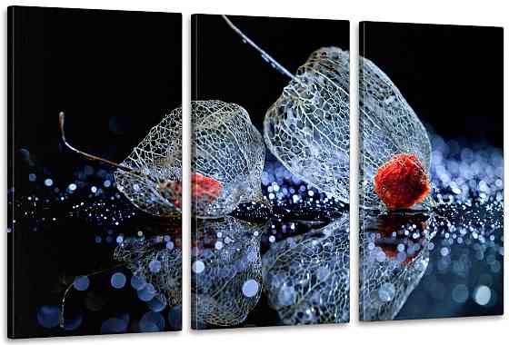 Модульная картина в гостиную / спальню   Фізаліс    ART-304_3A 100х150 см Киев