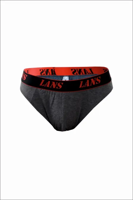 Трусы мужские хлопок Спорт (2шт) Lans 03.037 M, L, XL, XXL, 3XL, 4XL, Серый Киев - изображение 1