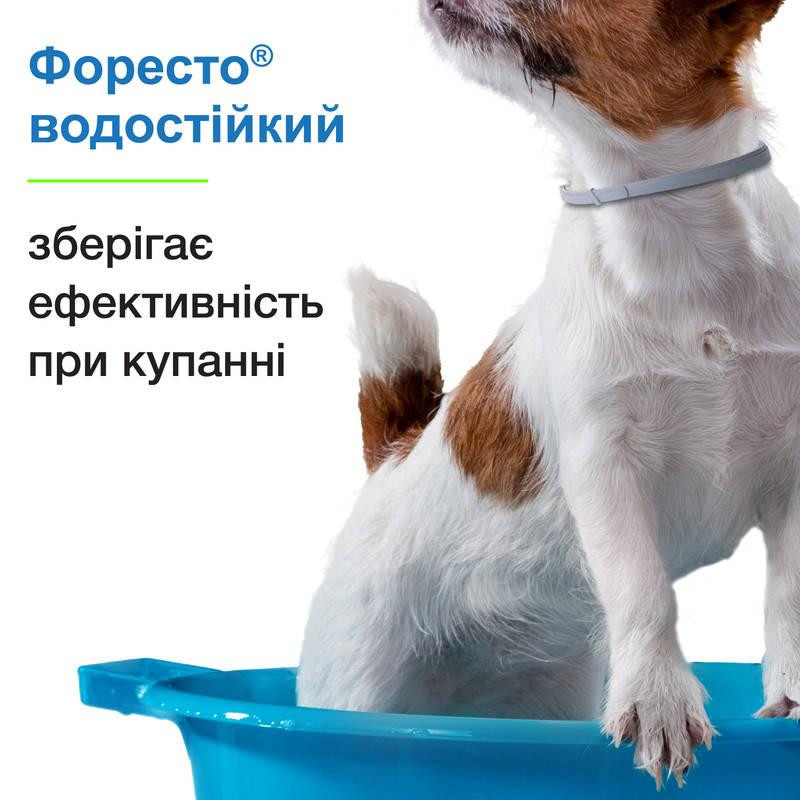Foresto Bayer Animal (Форесто Байєр) нашийник 70 см від бліх і кліщів для собак і котів 8 кг Запоріжжя - фото 7
