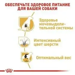 Royal Canin Miniature Schnauzer Adult (Роял Канин Миниатюр Шнауцер Эдалт) корм для цвергшнауцеров от 10 мес 7.5 кг. Запорожье