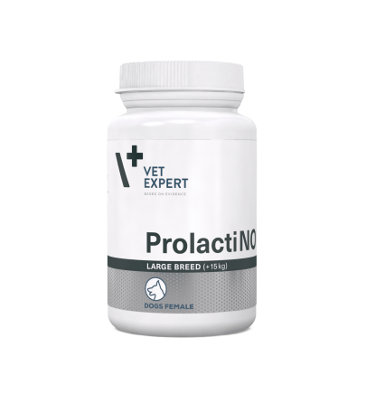 Дополнительный корм VetExpert Prolactino Large (ПролактиНО ЛБ) при ложной беременности собак больших пород от 15 кг, 40 таблеток Винница