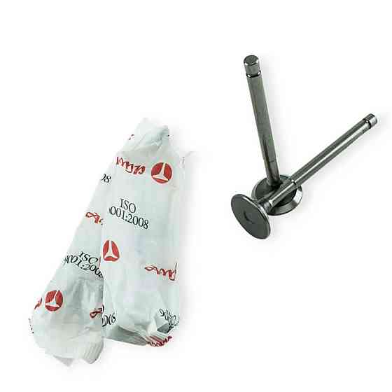 Клапана AMP выпуск (PLAD002) Азот 2101 Мукачево