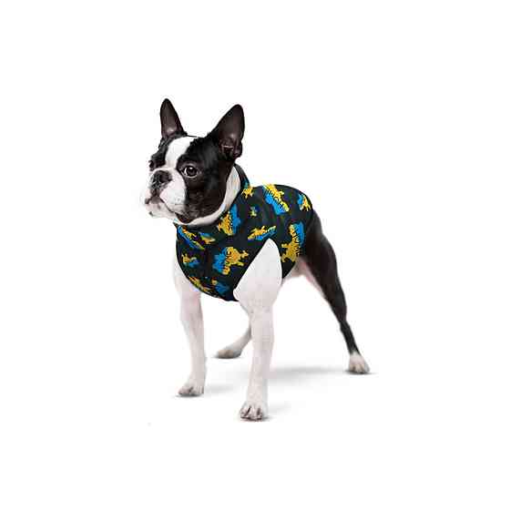 Курточка для собак WAUDOG Clothes рисунок 