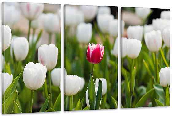 Модульна картина кольорів Тюльпани Арт-134_3А 70x130 см Київ