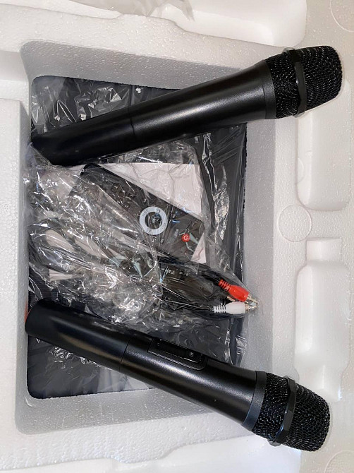 Акустична переносна колонка ZXX-1011 800Вт 15" 45х72х36см USB/SD/FM/BT/2MIC/ДУ Одеса - фото 9