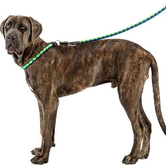 Поводок с автоматическим крючком для собак Ferplast Twist Matic G (Ферпласт Твист Матис Джи) G 18/110 - Ø 18 мм x L 110 см - max 50 кг, Синий Запорожье