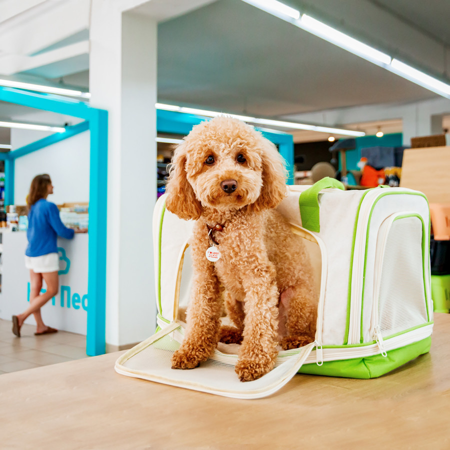 Сумка-переноска для котов и мелких собак WAUDOG Relax Eco, 47x30x28 см, до 8 кг Киев - изображение 7
