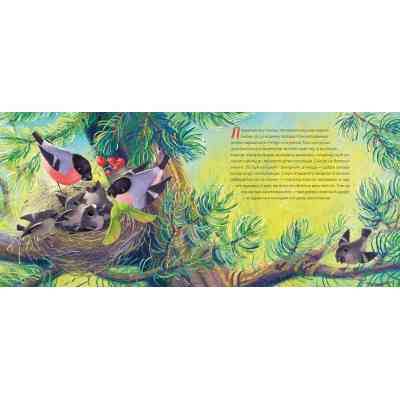 Книга Мій друг снігур - Надійка Гербіш Видавництво Старого Лева (9789664485057) Вінниця