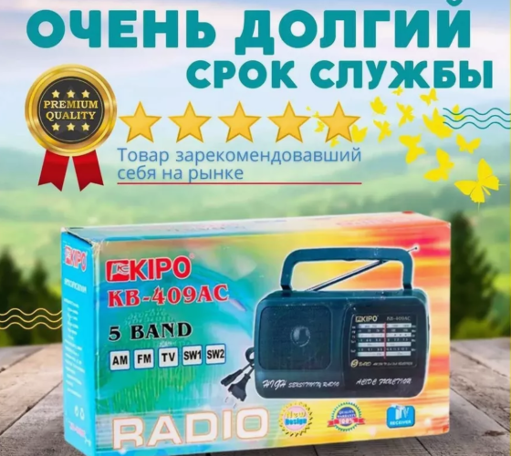Радіоприймач Kipo KB-409AC від мережі або батарейок UM-1 1,5 В, 1 динамік, FM, SW1, SW2, AM, TV Київ