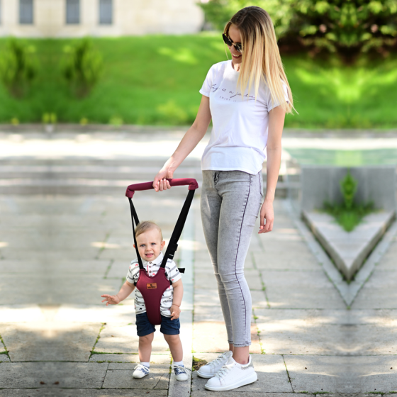 Детские вожжи - ходунки для первых шагов с ручкой Step by Step Lorelli Серый Кривой Рог