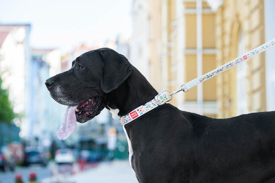 Повідець WAUDOG Design з малюнком "Пончики" (ширина 25 мм, довжина 122 см) білий Коломыя - изображение 3