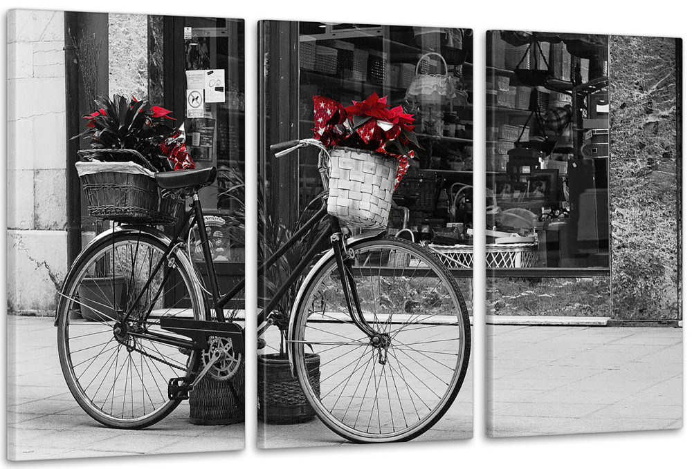 Модульна картина Велосипед Квіти Аrt-105_3А Київ - фото 1