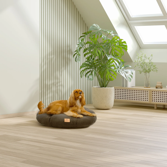 Лежак — подушка для котів і собак Ferplast Relax Boucli (Ферпласт Релакс) 65 x 42 см — 65/6, Темно-зелений Запоріжжя