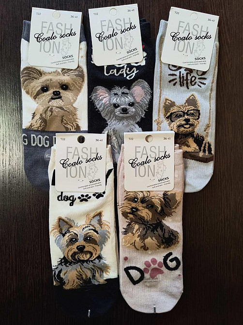Носки женские с собачками. В наборе из 5шт. Яркие женские носки с приколами. Coalo socks. Размер 36-41 Киев - изображение 1