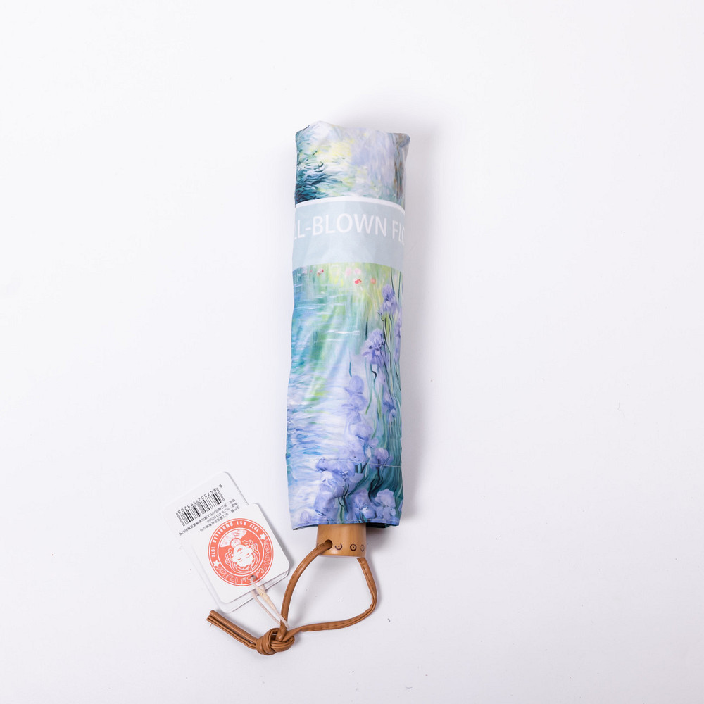 Голубий механічний зонт з принтом, діаметр 99 см Київ - фото 9