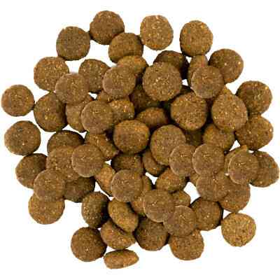 Сухий корм для собак Savory Junior Large rich in Fresh Turkey and Chicken 3 кг (4820232630204) Вінниця