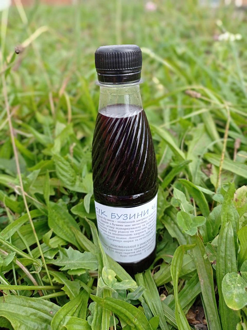 Бузина чорна (сік концентрат), 0.2 літри Київ - фото 1