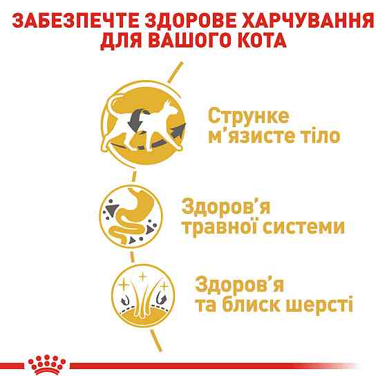 Корм для дорослих котів породи Сіамська ROYAL CANIN SIAMESE ADULT 0.4 кг Київ