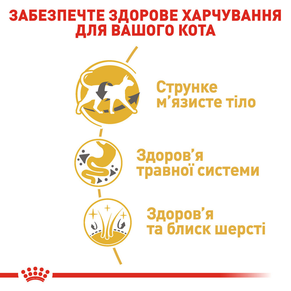 Корм для взрослых кошек породы Сиамская ROYAL CANIN SIAMESE ADULT 0.4 кг Киев - изображение 5