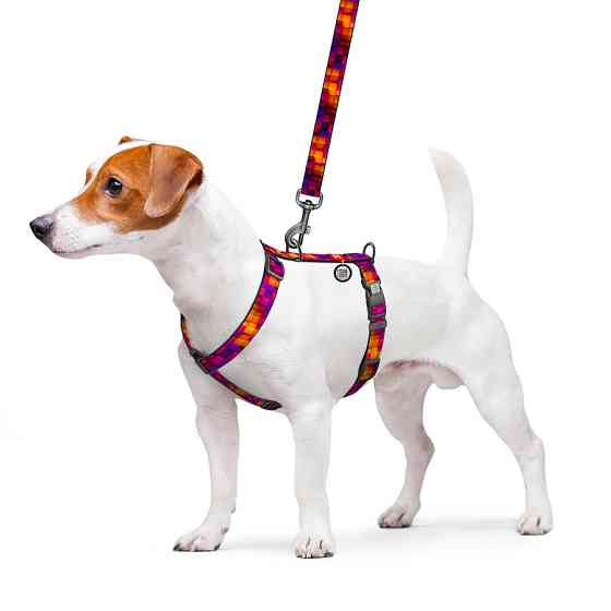 Шлея для собак анатомическая H-образная WAUDOG Nylon с QR паспортом, рисунок 