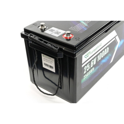 Батарея LiFePo4 Longttech 24V - 100Ah (LAR24100-LT160-P) Вінниця - фото 9