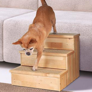 Лестница для собак 