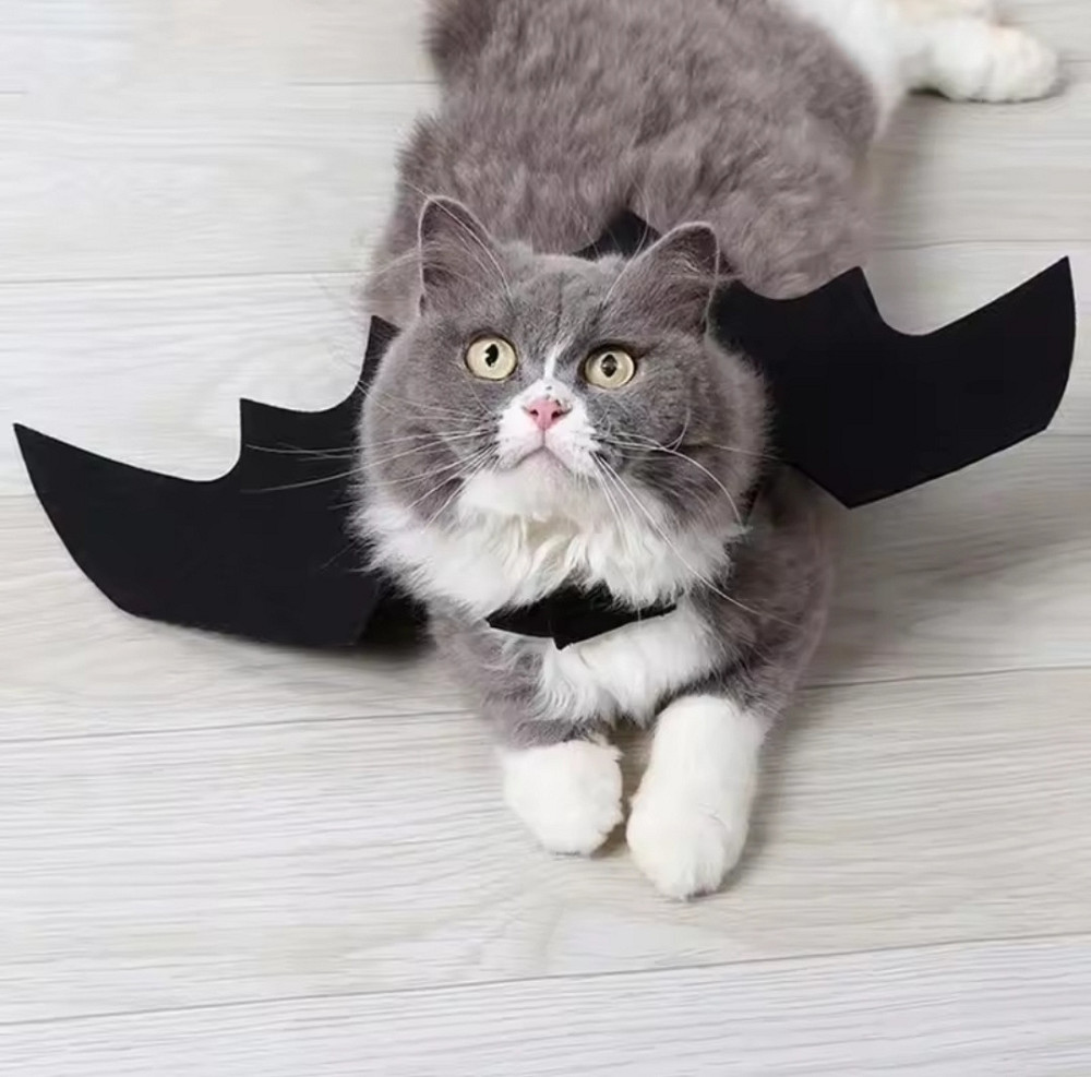 Крила кажана косплей для собак і котів на Хелловін М чорний Київ - фото 4