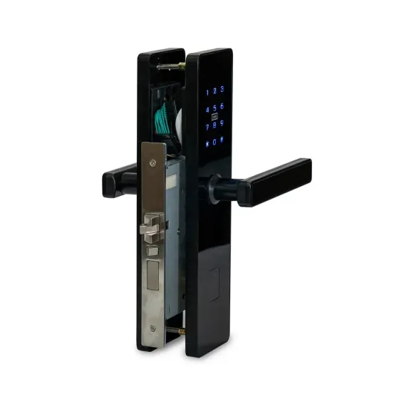 Замок електромеханічний автономний Trinix TRL-5301BT Black з Bluetooth і зчитувачем Mifare (65-00058) Київ