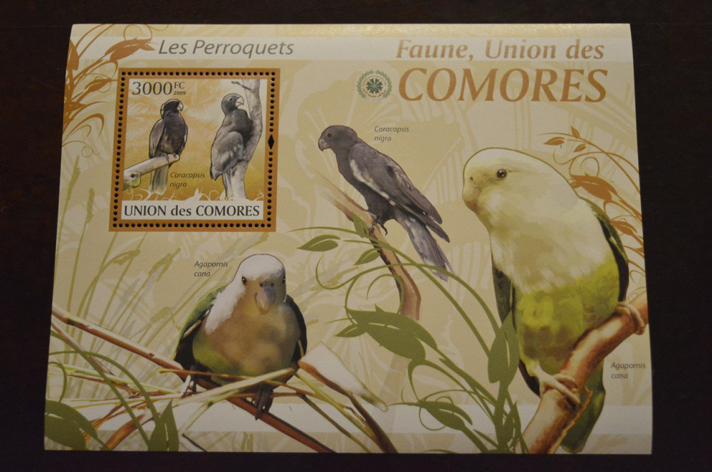 Коморы. Фауна. 2009 год (А) Полтава - изображение 1