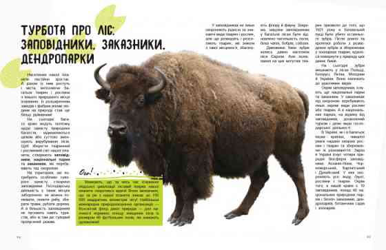 Детская книга 