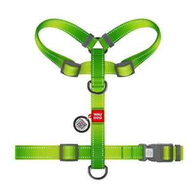 Шлей для собак WAUDOG Nylon Mono с QR-паспортом, пластиковый фастекс L салатовая (52745) Винница
