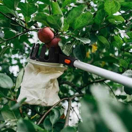 Плодознімач на телескопічному держаку 3,75м, KT-V1531-375 Київ