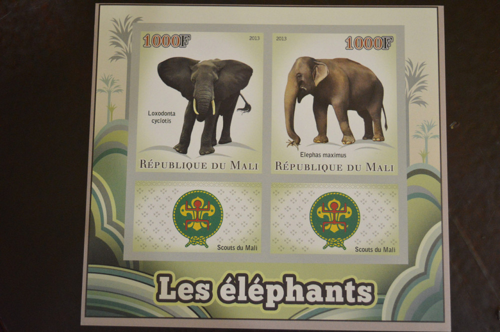 Малі. Марки. Фауна. Блок. 2013 рік (В-3) Полтава - фото 1