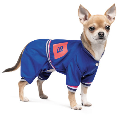 Дождевик для животных Pet Fashion Silver S (4823082429936) Винница - изображение 2