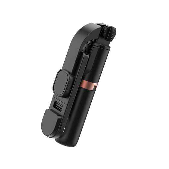 Селфи-трипод WIWU Mini Selfie Stick Wi-SE011 (with filled lights) Black Одесса