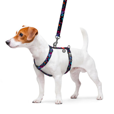 Шлей для собак WAUDOG Nylon анатомічна H-подібна з QR-паспортом "Нескінченні світи" пластиковий фастекс, M (344-4058) Винница - изображение 3