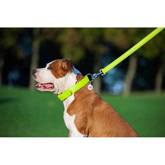 Повідець для собак шкіряний WAUDOG Glamour, Ш 25 мм, Дов 122 см салатовий Коломия