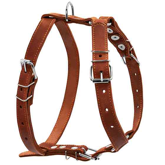 Шлея "CoLLaR" одинарна для середніх собак (ширина 25мм, А:49-68см, В:68-80см) коричневий Київ