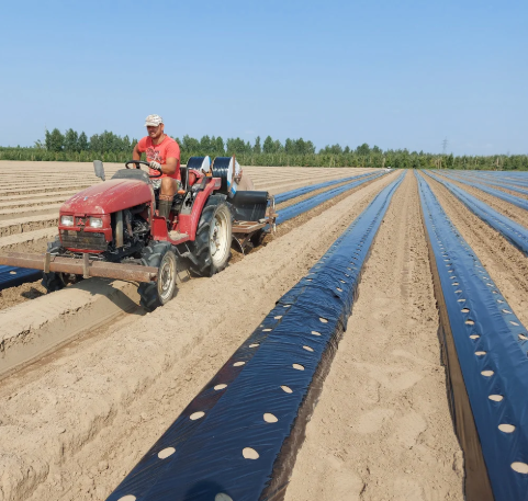 Мульча 30 мкм Shadow 1м*10 м плівка для мульчування ґрунту з перфорацією пакетована Дніпро - фото 6