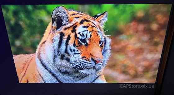 Портативный проектор!!️Thundeal TD80W ‼️ Android 13, WiFi, Bluetooth Харьков