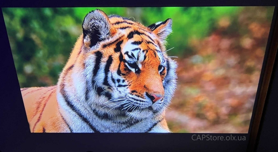 Портативний проектор ‼️Thundeal TD80W ‼️ Android 13, WiFi, Bluetooth Харків - фото 4